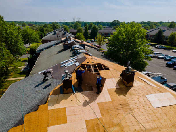 Trusted Roof Replacement service in Brooker, FL - Brentwood Metal Roofing